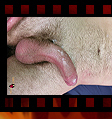 click to see more